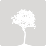 Box_Njila_GREY_tree2_